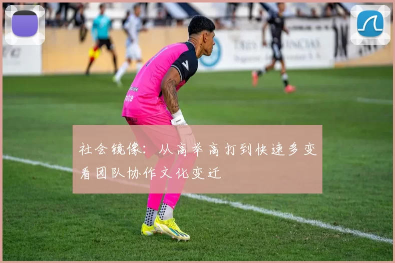 社会镜像：从高举高打到快速多变看团队协作文化变迁