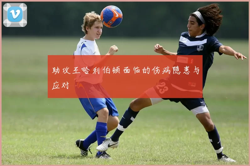 助攻王哈利伯顿面临的伤病隐患与应对