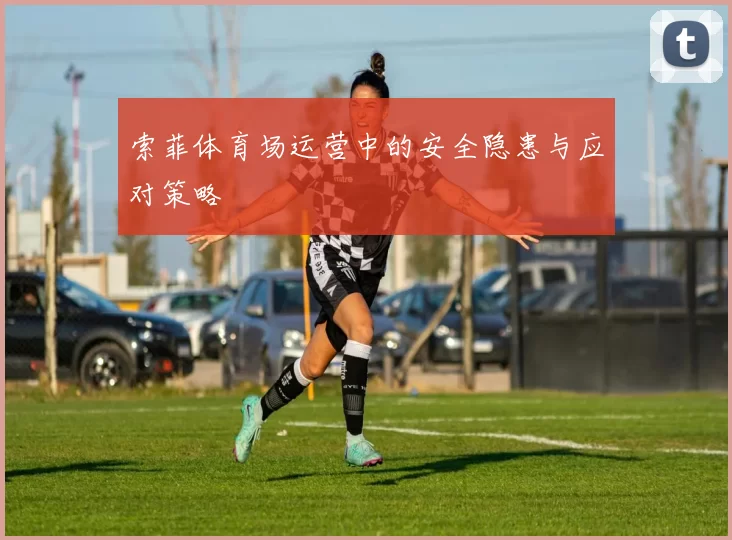 索菲体育场运营中的安全隐患与应对策略